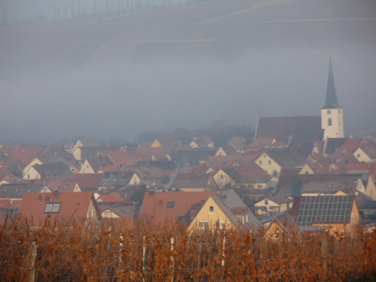 Gaestehof - Weinbau Saeger Nordheim am Main Extérieur photo