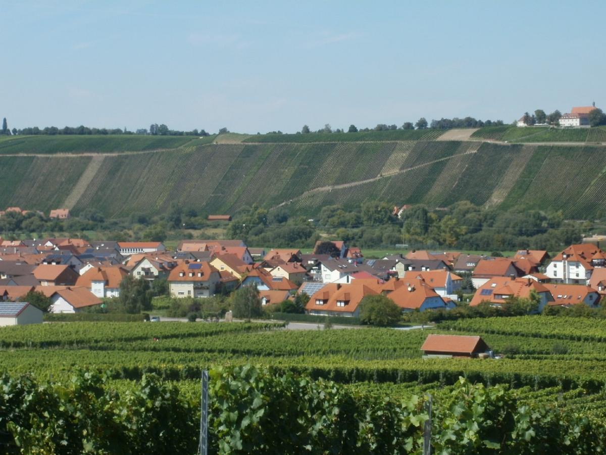 Gaestehof - Weinbau Saeger Nordheim am Main Extérieur photo